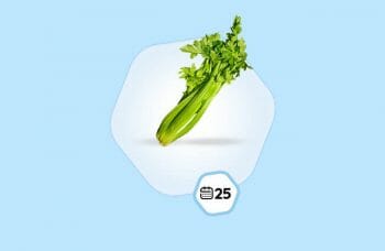 25 weken zwanger